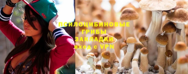 ешки Нягань