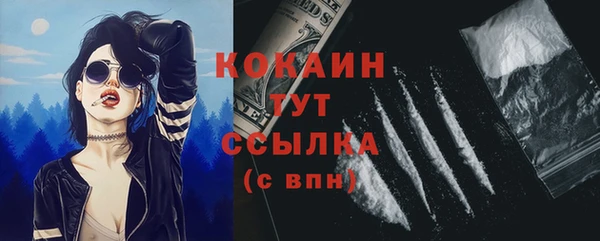 первитин Няндома