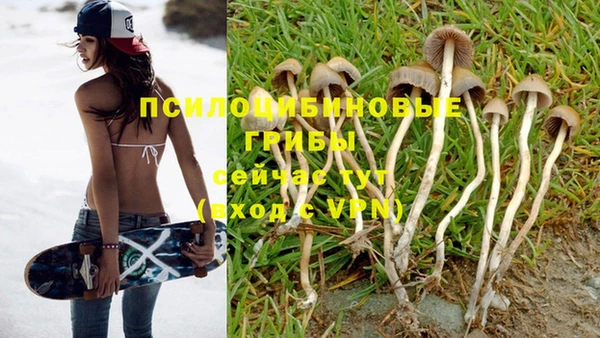 первитин Няндома