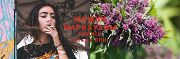 первитин Няндома