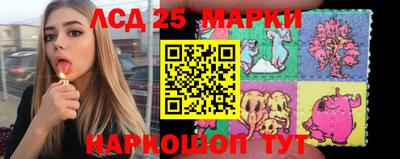 индика Беслан
