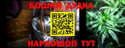 индика Беслан