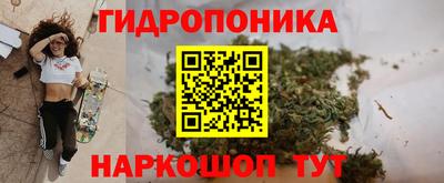 PSILOCYBIN Берёзовский