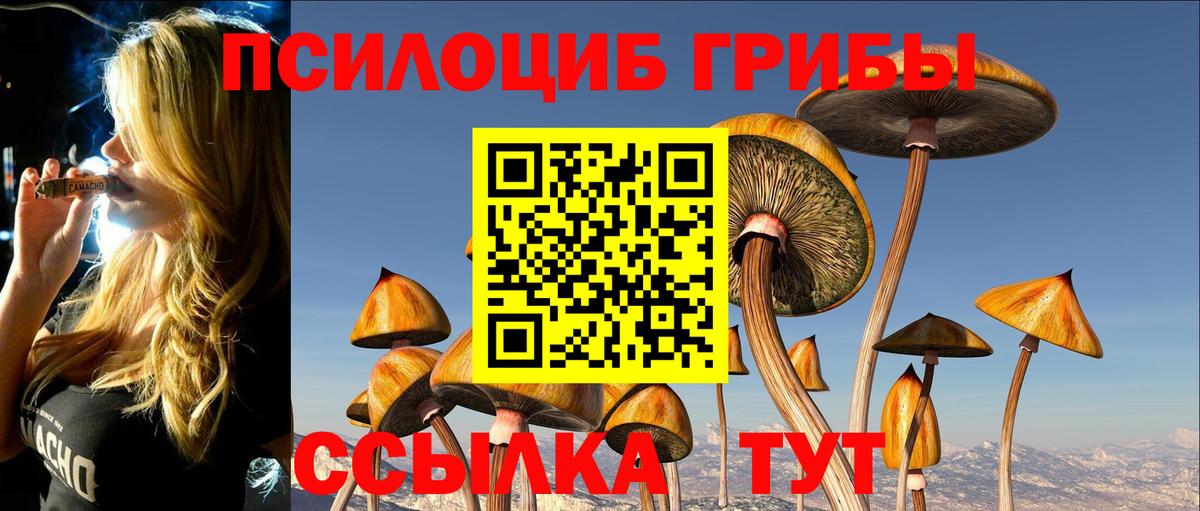 Псилоцибиновые грибы GOLDEN TEACHER Бугуруслан