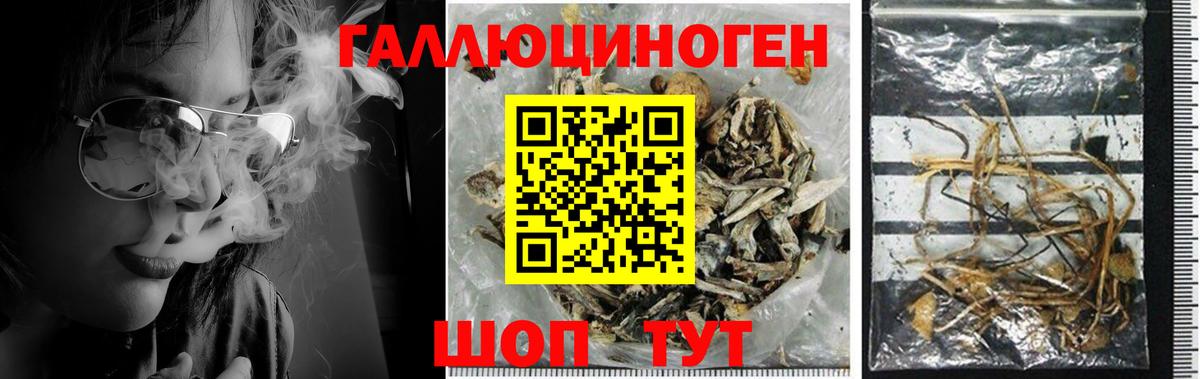 Бугуруслан  купить наркоту  Вход с VPN  Галлюциногенные грибы мухоморы 